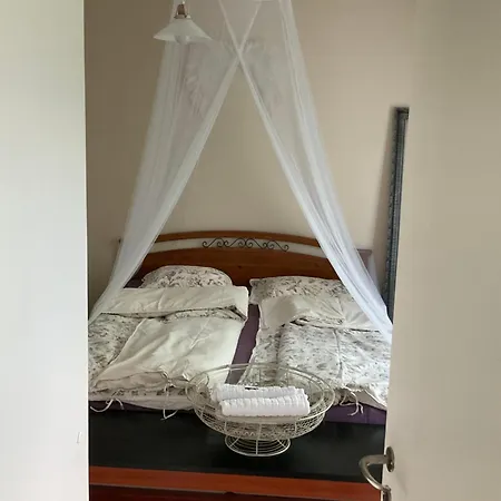 Retrohenkinen Taiteilijakoti - Kaleva *