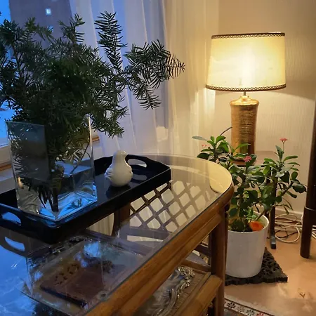 Retrohenkinen Taiteilijakoti - Kaleva 公寓 坦佩雷