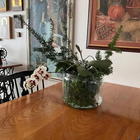 Apartment Retrohenkinen Taiteilijakoti - Kaleva